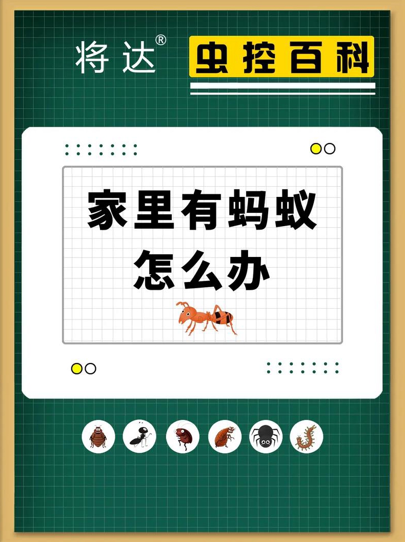 新装修的房子里有很多蚂蚁怎么办