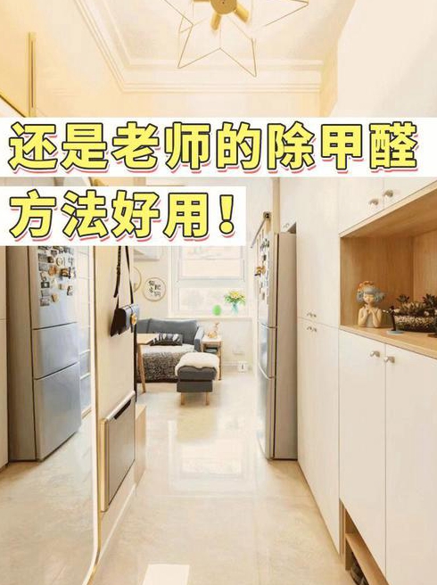 我家刚装修完的房子能用洋葱除甲醛吗