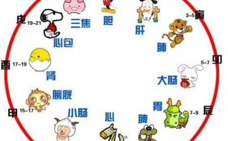 家庭装修吉日按谁的属相