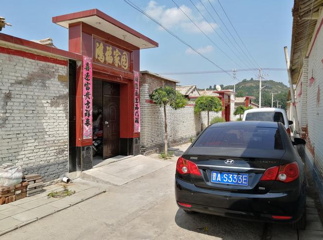 我是农村的大门口两边种什么好看
