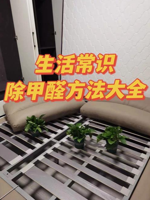 装修去甲醛方法大全揭开装修生活窍门