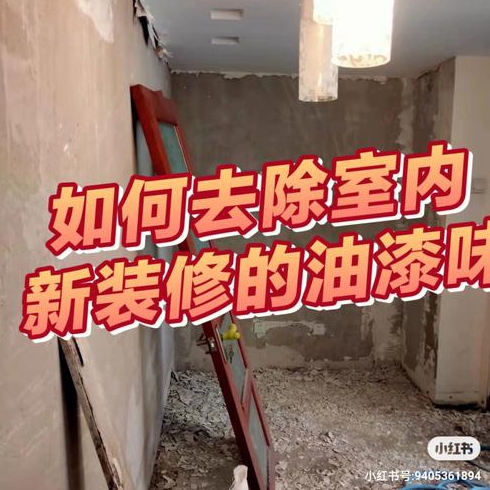 如何远离装修后的油漆味